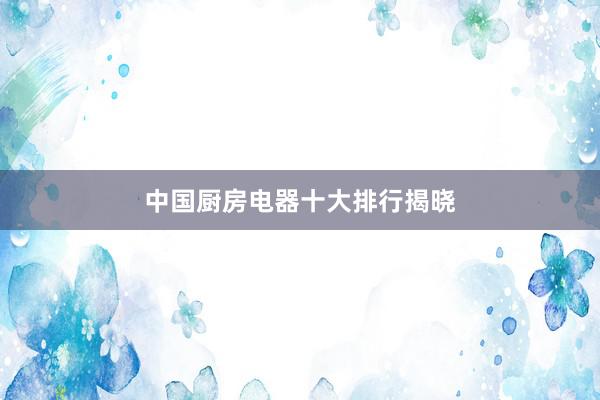 中国厨房电器十大排行揭晓